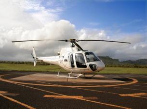 With fog, fewer flights in this fight